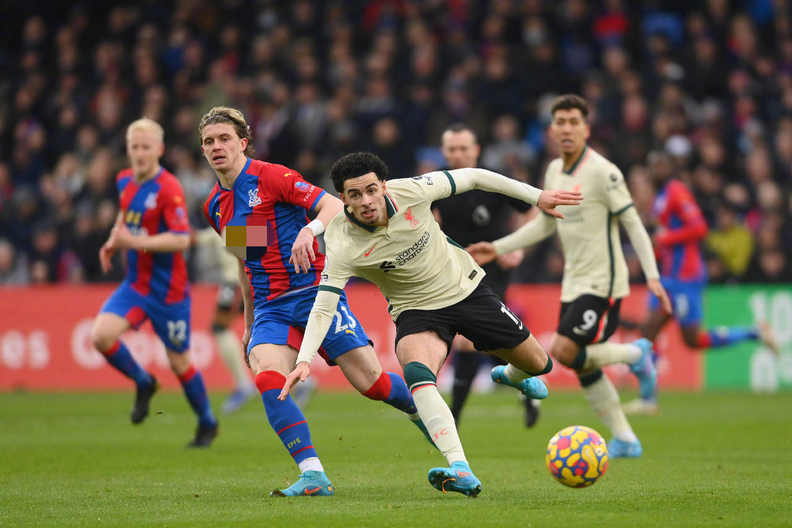 社交媒体已 社交媒体已